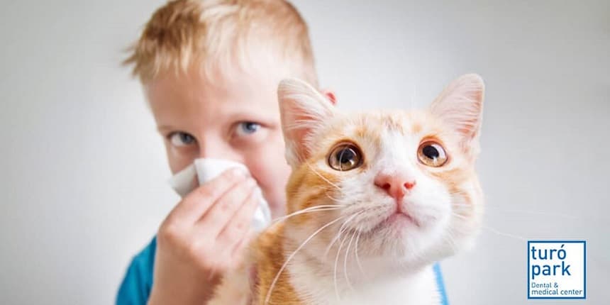 When Do Cat Allergies Develop In Babies?
