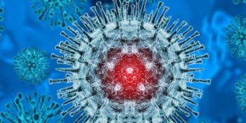 La viruela símica: todo lo que debemos saber