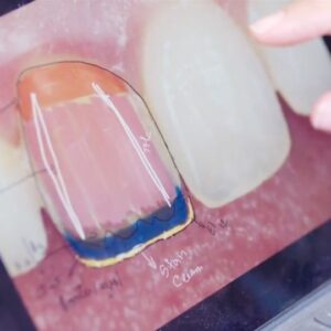 Cristiana Fragoso Travail