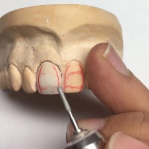 Cristiana Fragoso Travail